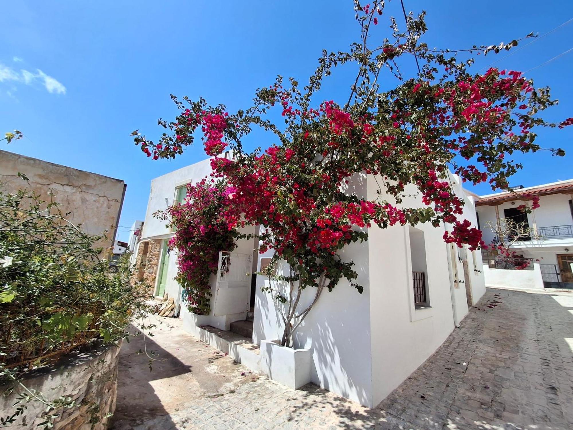 Lilium House דירה *